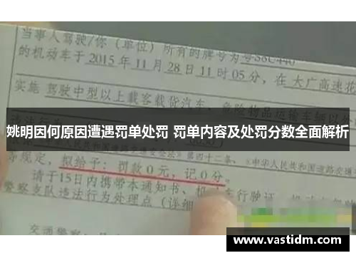 姚明因何原因遭遇罚单处罚 罚单内容及处罚分数全面解析