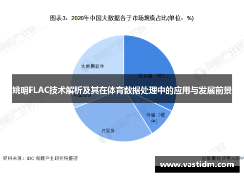 姚明FLAC技术解析及其在体育数据处理中的应用与发展前景