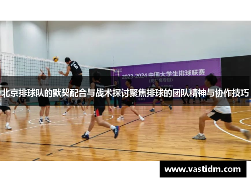 北京排球队的默契配合与战术探讨聚焦排球的团队精神与协作技巧