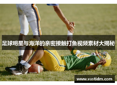 足球明星与海洋的亲密接触打鱼视频素材大揭秘